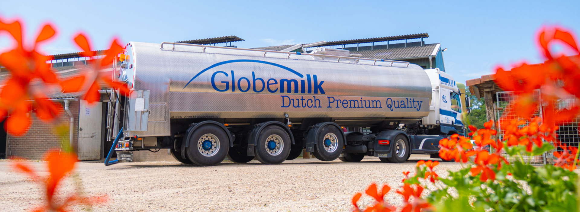 Een grote, ronde vrachtwagen van het melkbedrijf Globemilk, met het blauwe logo van het bedrijf prominent in beeld.